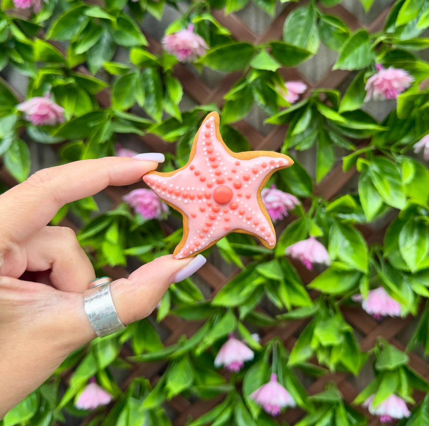 Summer Starfish