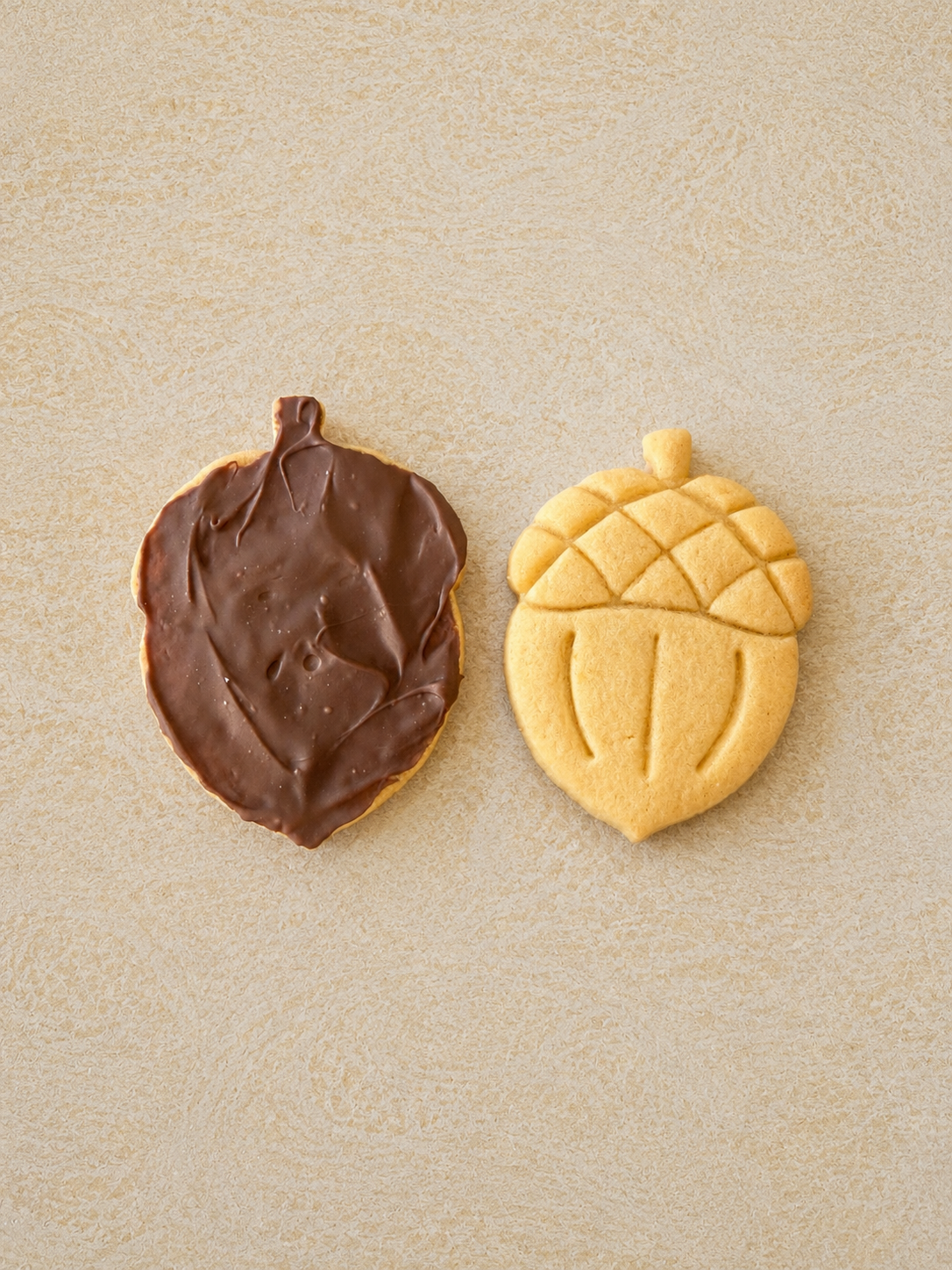 Autumn acorn shortbread style biscuits