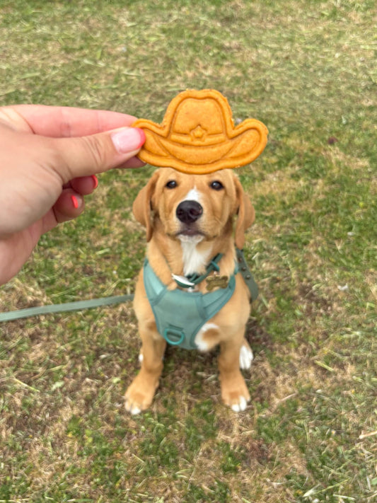 Saddle Snacks