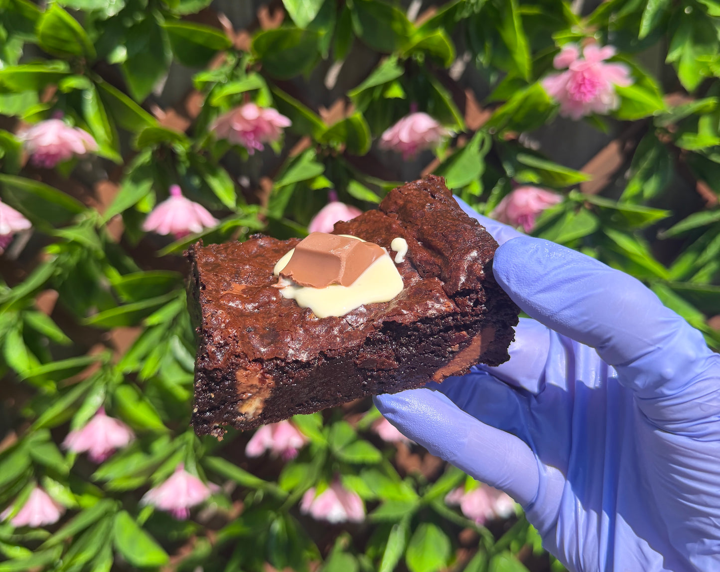 Build your own box of 6 brownie