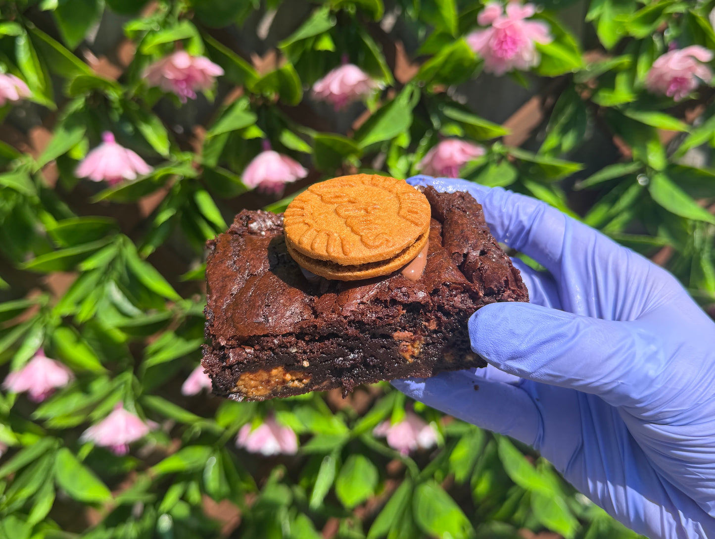 Build your own box of 6 brownie