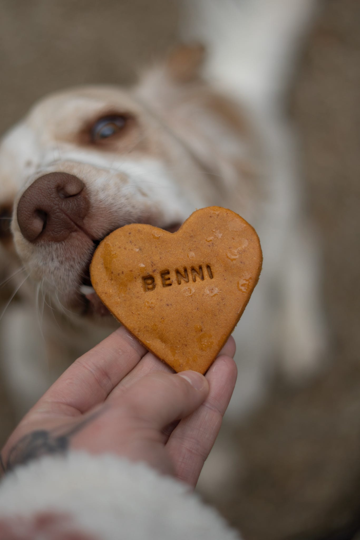 Name hearts
