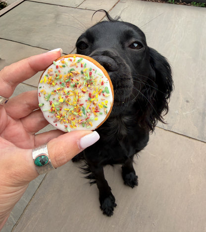 Iced biscuit of the month