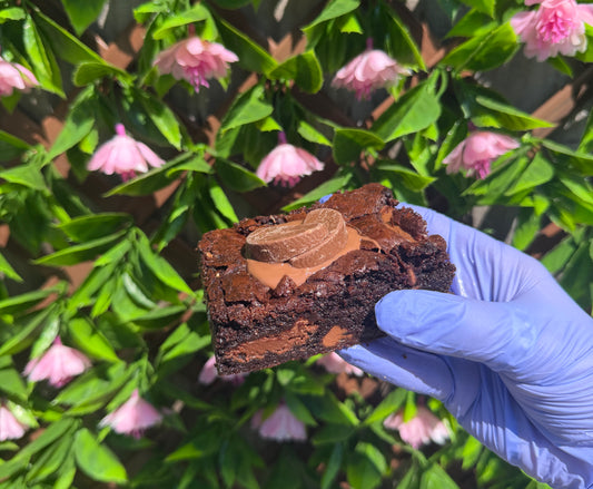 Build your own box of 6 brownie