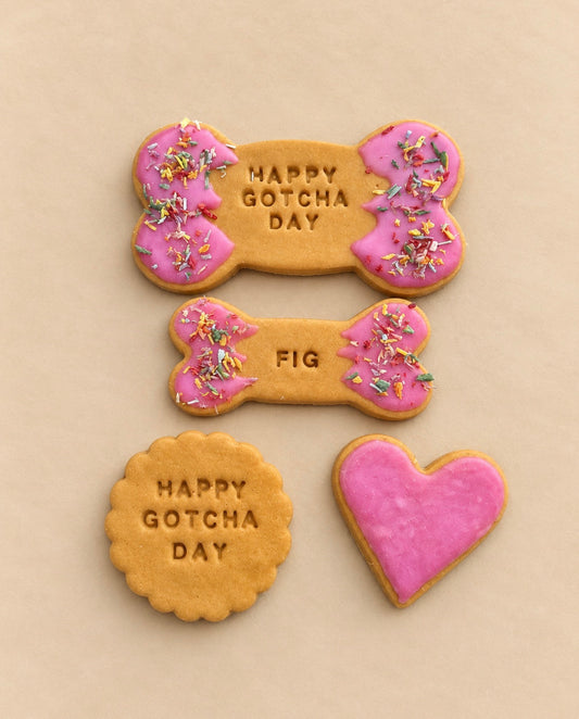 Gotcha day bundle