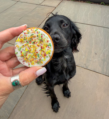 Iced biscuit of the month