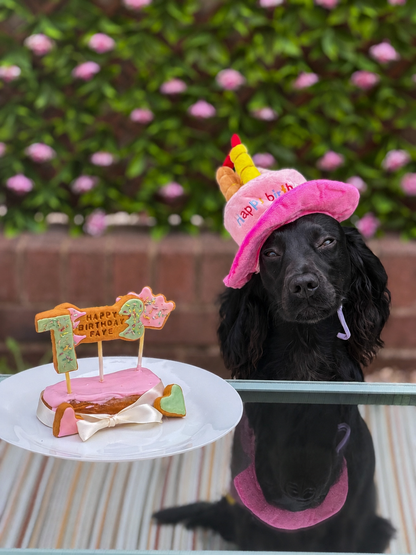 Birthday cake bundle