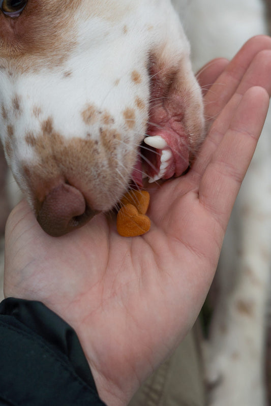 Tiny Treasures (Training Treats)