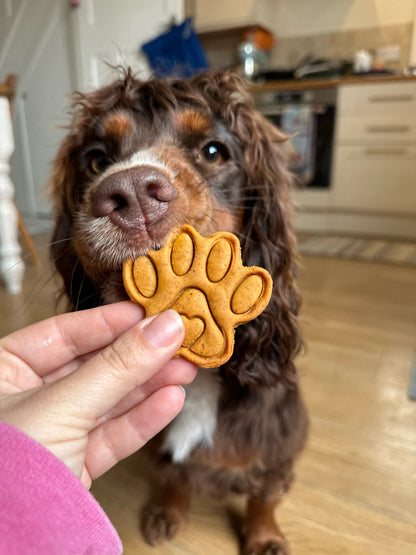 The paw collection
