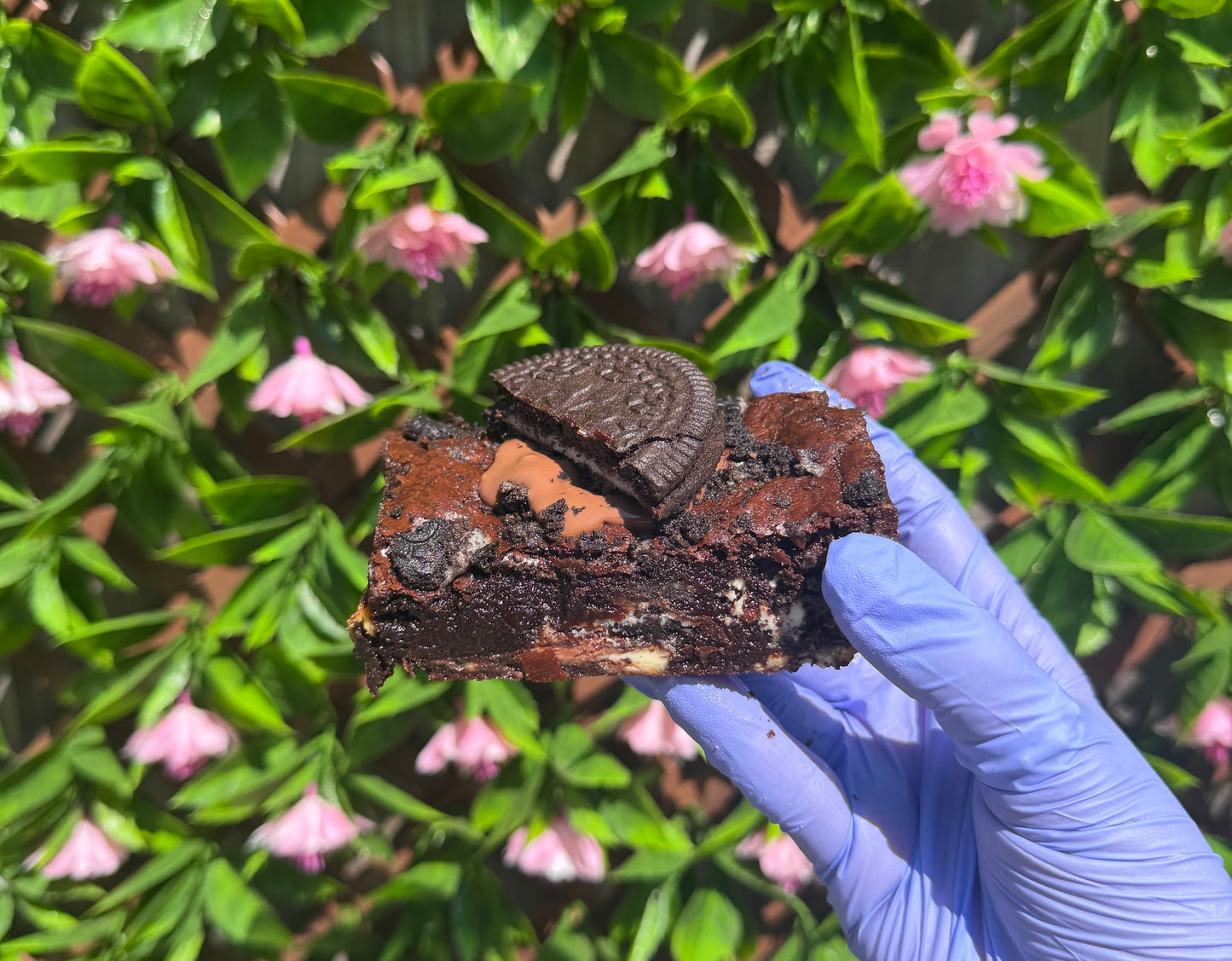 Build your own box of 6 brownie