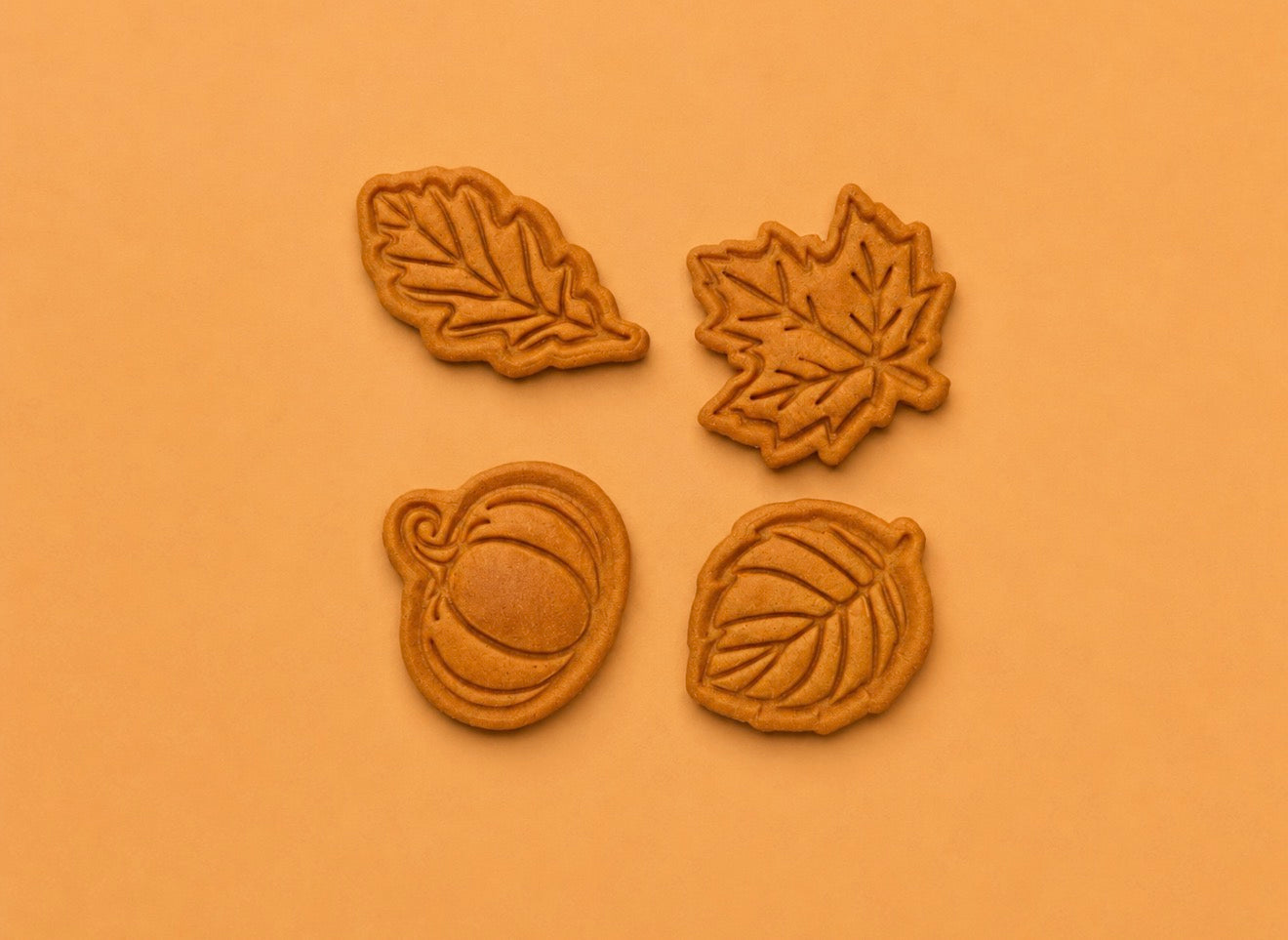Autumn treasures