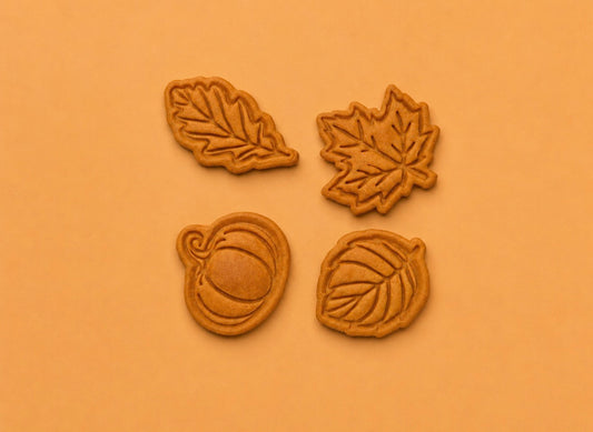 Autumn treasures