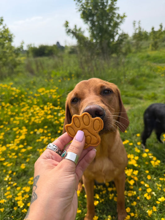 The paw collection